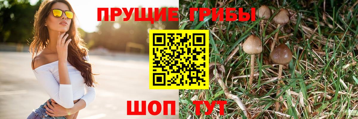 Галлюциногенные грибы Magic Shrooms  Вход с VPN  Псилоцибиновые грибы Psilocybine cubensis  Троицк 