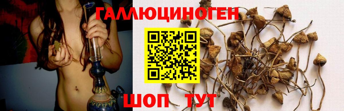 Галлюциногенные грибы MAGIC MUSHROOMS Троицк
